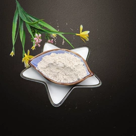 其他非金属;其他颜料;非金属粉末