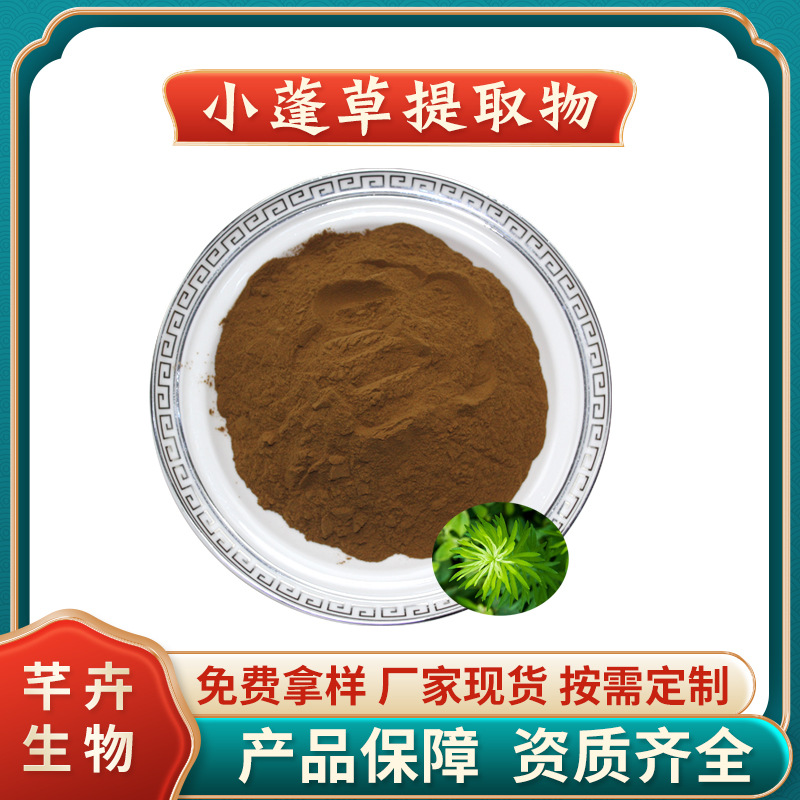 小蓬草提取物 水溶 小蓬草粉 小白酒草/小飞蓬 厂家1KG现货包邮