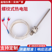 厂家供应螺纹式热电阻304不锈钢水箱保护壳传感器