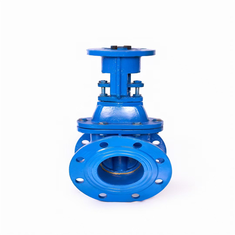 Z941T-10Q DN600 电动明杆闸阀 铜芯铜杆法兰闸阀