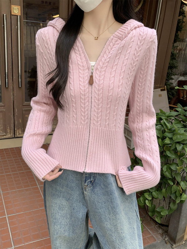 韩系麻花拉链连帽针织开衫女秋季新款温柔风短款小个子毛衣外套潮|undefined