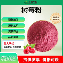 树莓粉覆盆子果粉提取物食品级代餐粉专用厂家直销现货批发水溶性