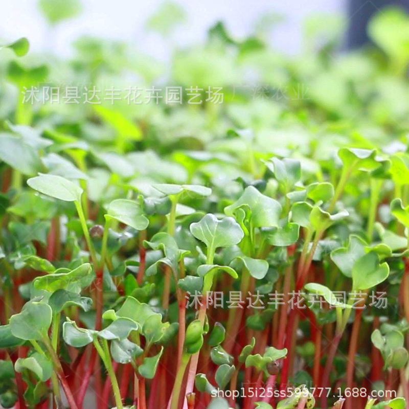 9345e0a0e7bb471fc00d30d8c0110a