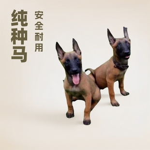 �����r�RȮ��Ȯ���w���N���t���R�t�R��������Ȯ�o�l���l�r����