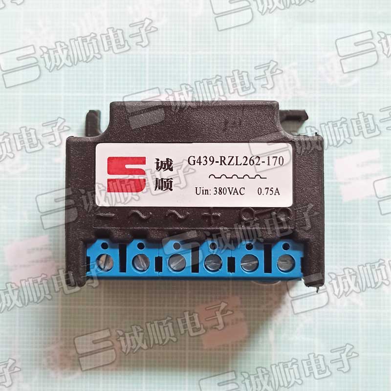 G439-RZL262-170 电机 刹车 整流器 AC380V 0.75A 诚顺牌