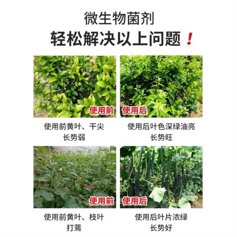 枯草菌、根腐れ、白粉病、青枯病、灰黒病、錆病、土壌伝染病の予防と管理|undefined