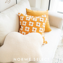 抱枕花朵枕套毛絨繡客廳沙發靠枕橘色組合小清新腰靠飄窗床頭靠墊