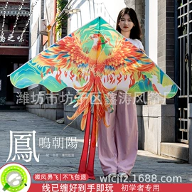 风筝;其他运动休闲