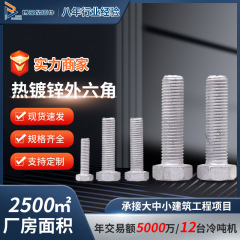 スポット供給溶融亜鉛メッキ外六角ボルト電力光起電六角ボルト溶融亜鉛メッキ組み合わせねじ