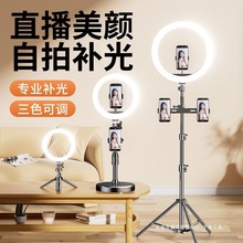 ���ֱ���a����֙C֧�����_���Ĕz�҃ȔzӰ�����������ėU֧�μ�