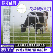 隔离网草原钢丝网镀锌铁丝网鹿马牛栏网果园拦网围羊畜牧养殖围栏