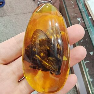 �S�����l������������x�����ˮ���Β����Ȼ�����ͶY