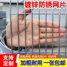 定制镀锌网片养殖网加粗狗笼子鸽笼鸟笼货架钢丝网片防锈苗床网片