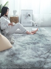 地毯卧室客厅2024新款床边毛毯地垫冬天冬季家用房间少女垫子批发