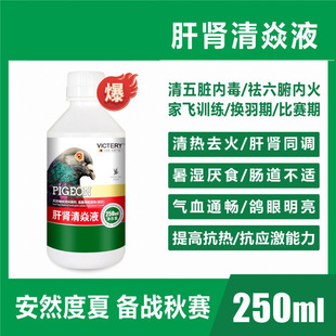 Liver and Kidney Qingyan Liquid - Clears Internal Toxins in the Five Internal Organs and Removes Internal Fire in the Six Internal Organs. It Is Not a Special Medicine for Pigeons
