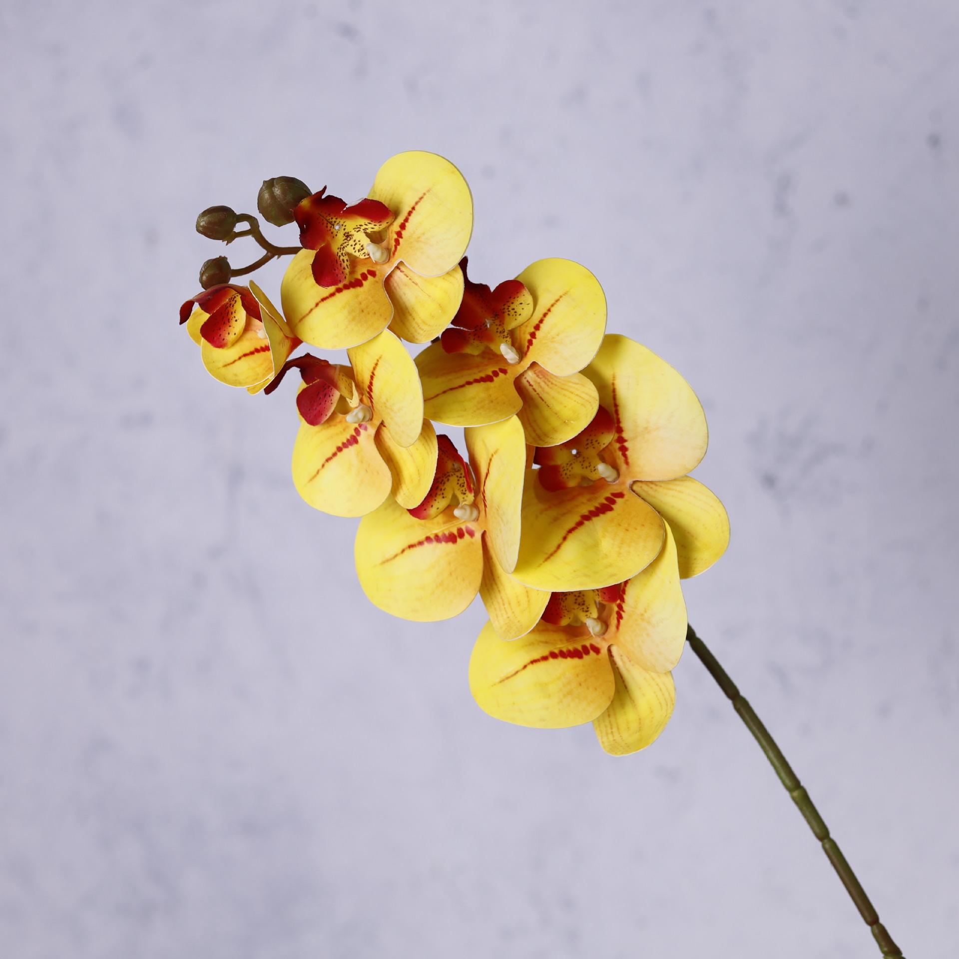 Impresión 3D de 7 cabezas de orquídeas mariposa flor de decoración de flores de alto nivel flor de nicho decoración floral decoración de sala de estar