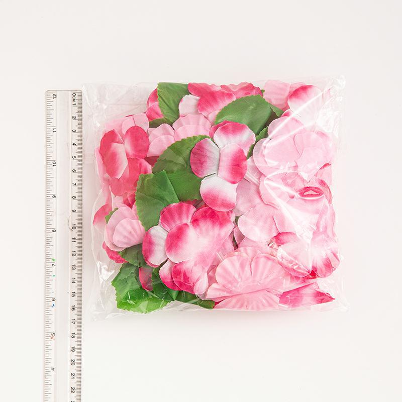 BH0A7575_毒霸看图