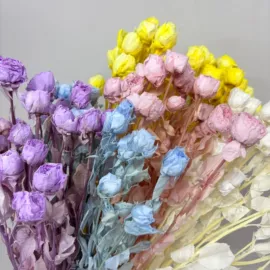 永生花;干花;鲜花花艺制品