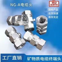 ���ԵV���|��|�^������|�^4о35ƽ�� BTLY�V���|��|�K���^NG-A