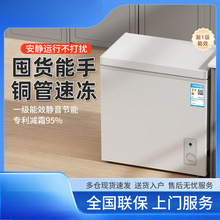 冰柜家用小型全冷冻冷柜保鲜箱两用冷藏冷冻迷你省电小冰柜节能