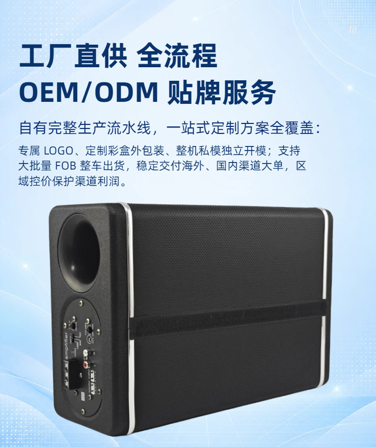 Source Factory 6/8/ 10inch Car Subwoofer with Active Tweeter 12V High and Low Level Dual Input Wholesale Oem