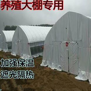 ����\�����߲˃��|����Ǽ�䓹� ȫ�׹��Sֱ�N �\�ŵ�һ