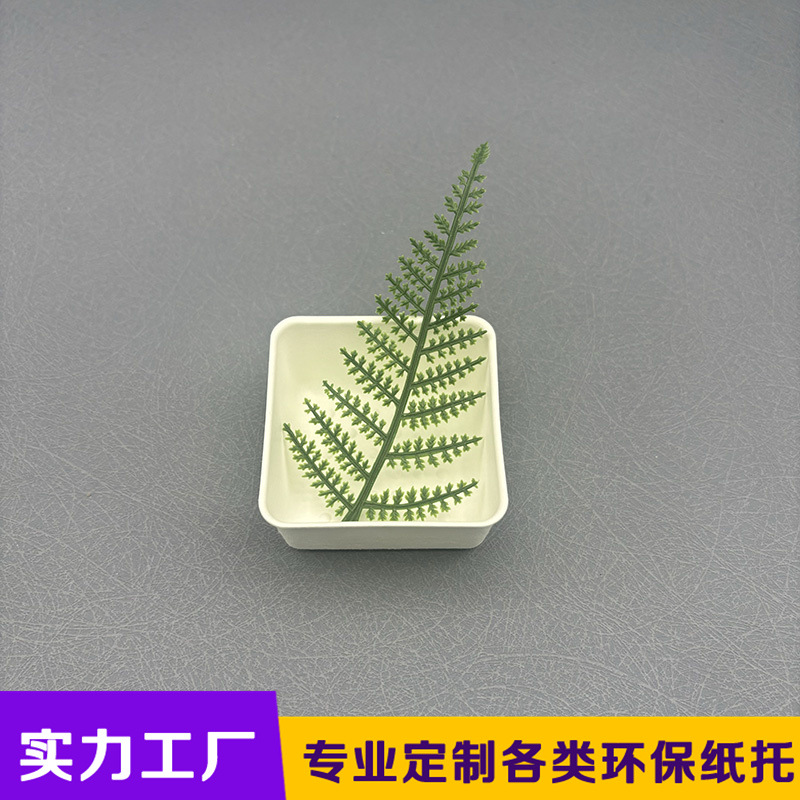 纸塑源头工厂定制防水防油抑菌食品级纸托甘蔗浆湿压一体成型内托