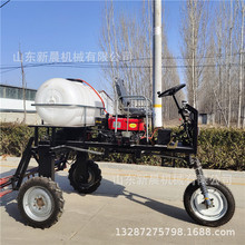 ʽ״șC ߲șćșC22R͇șC