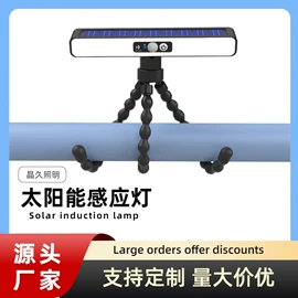 太阳能灯;庭院灯;室外LED