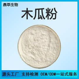 木瓜粉 水溶性木瓜风味粉 固体饮料食品级原料  现货包邮