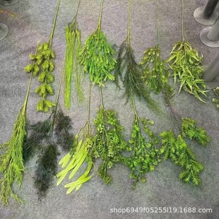 ɭϵGֲ¾GɫϵYõbOL廨·ٻ