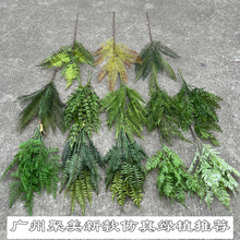 �¿����Gֲ �ָ������~��˹�~�Ųݴ����~ɭϵ��Yܛ�b�ٻ����l