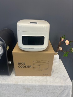 ���ҳ���5L���ܼ������Ҳ�ճ� 900W���� �羳���һ�����l