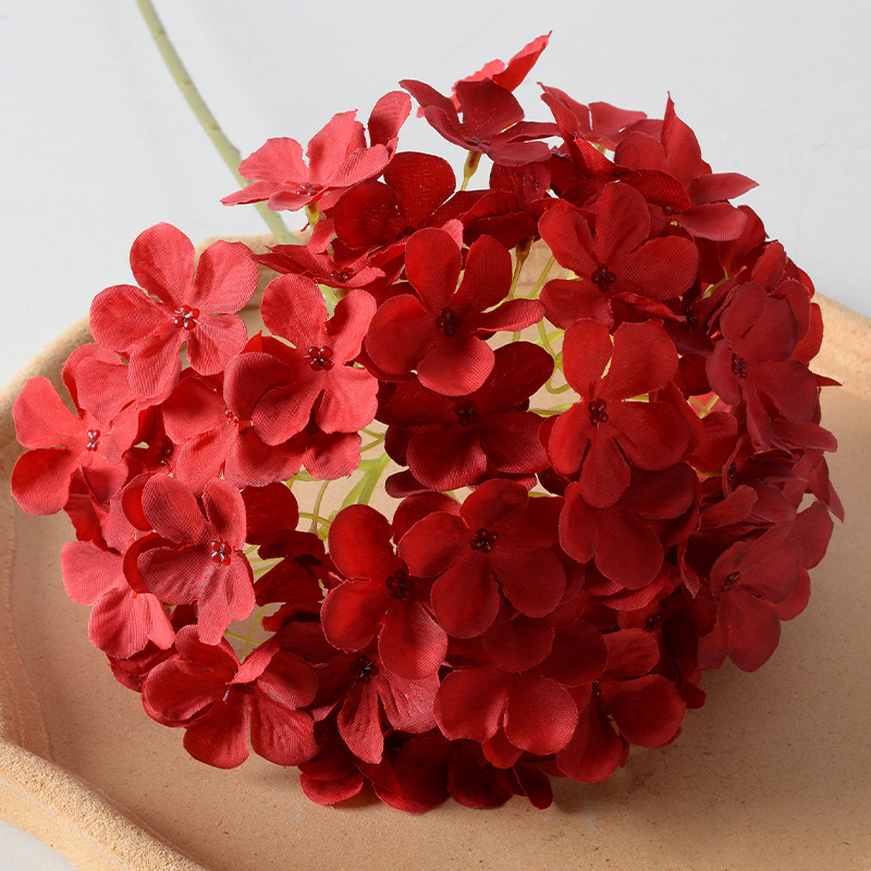Lollipop hydrangea red