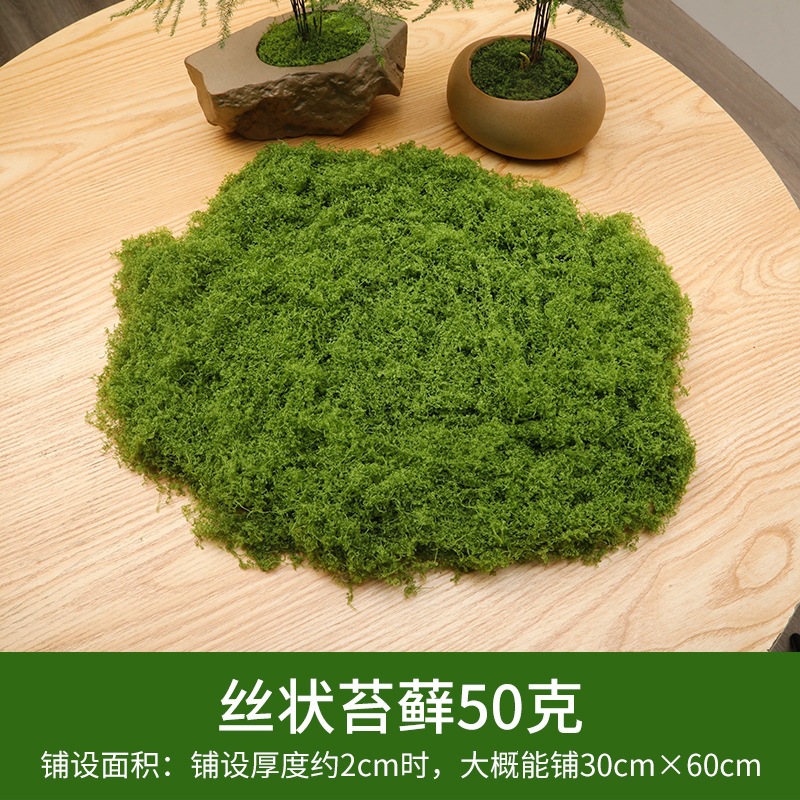 Light green silk moss 50 grams