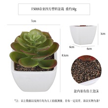 �������ہ����������������� �Ҿ�����С�[��������������辰