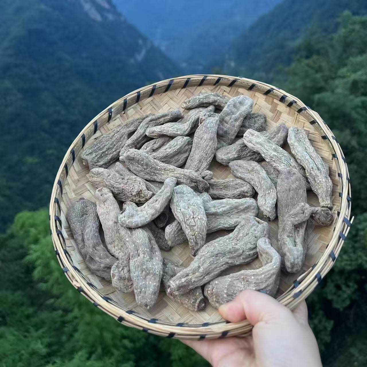 Tian Ma Gastrodia Root 500g Yunnan Zhaotong Black Wild-Crafted Dried Slices for Decoction and Soup in use