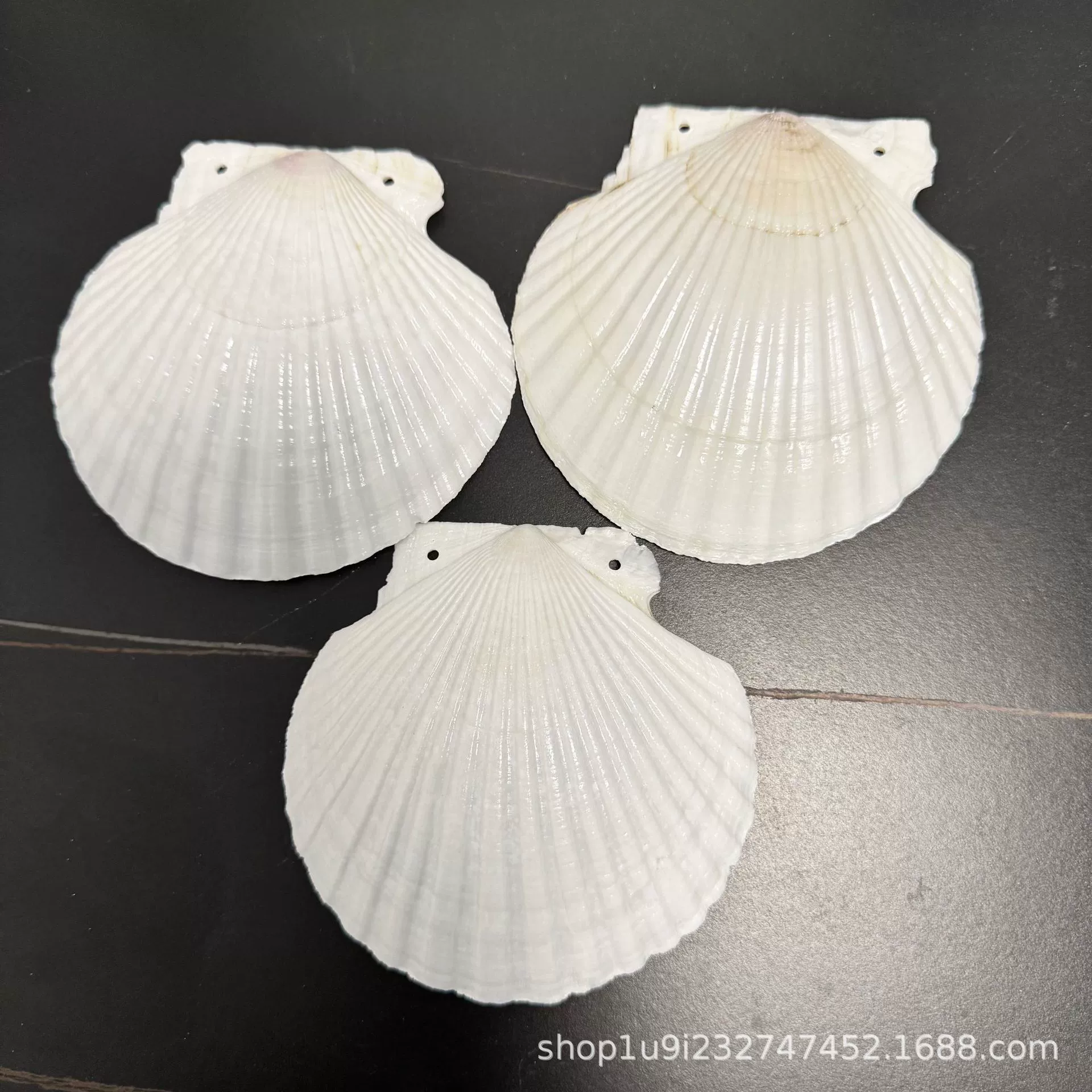 爱贝来 Ins Feng Natural Shell Loose Leaf Manual Punching Shell DIY Shell Photo Album Shell Book