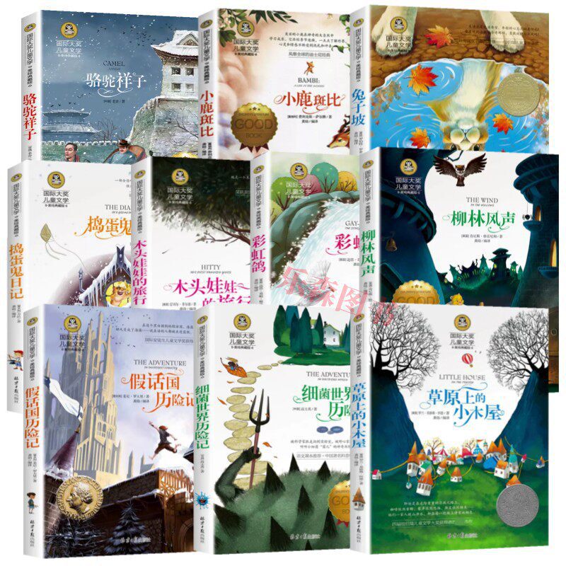 Camel Boy: Children's Literature for Elementary School Students Grades 3-4-5-6, Ages 8-9-10-12, Extracurricular Reading Books