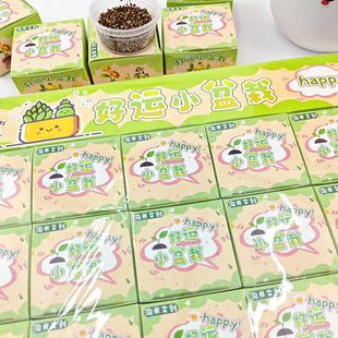 Children's Planting Small Potted Plants Blind Box Mini Flower Farmer Kindergarten Primary School Students Gifts Plant Growth Observation Germination