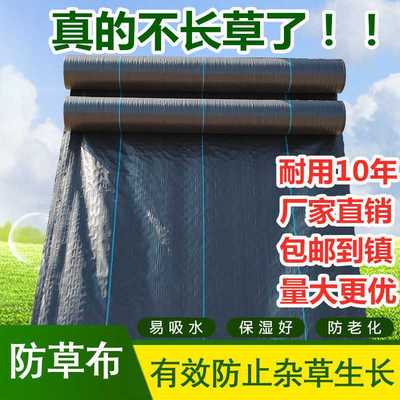 gardening Agriculture Ground cloth Cloth Film ventilation Moisture Degradation Fruit tree Orchard