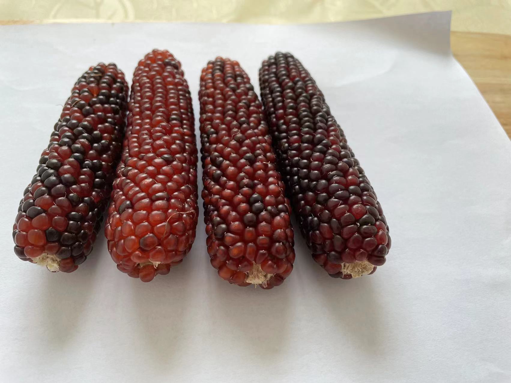 微信图片_20211103103936