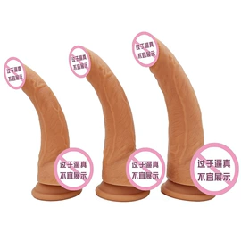 仿真阳具;后庭用品;其他男用