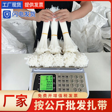 ���������������u�̶��������������o�����������ϸߏ��Ⱥڰ״�̖