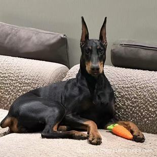 ���N���e��Ȯ���e�����w�pѪ�y���e�o�lȮ��ϵ���e��ͥ��HȮ