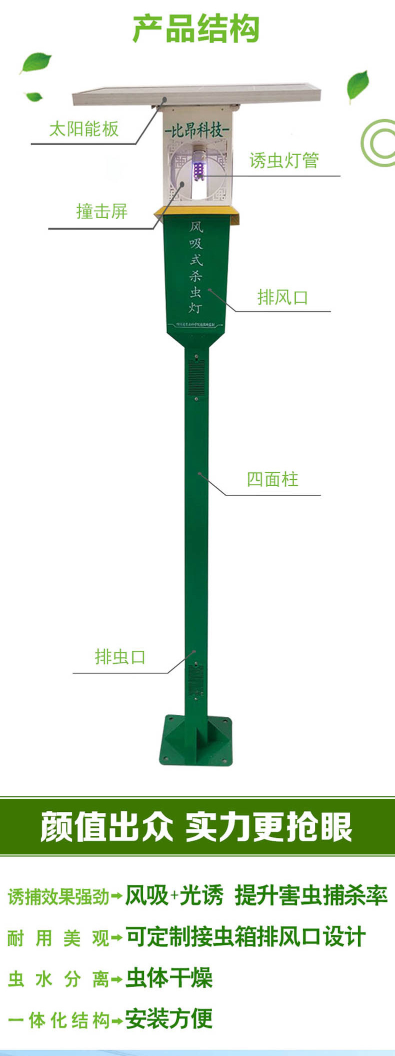 5-fx03_02.jpg