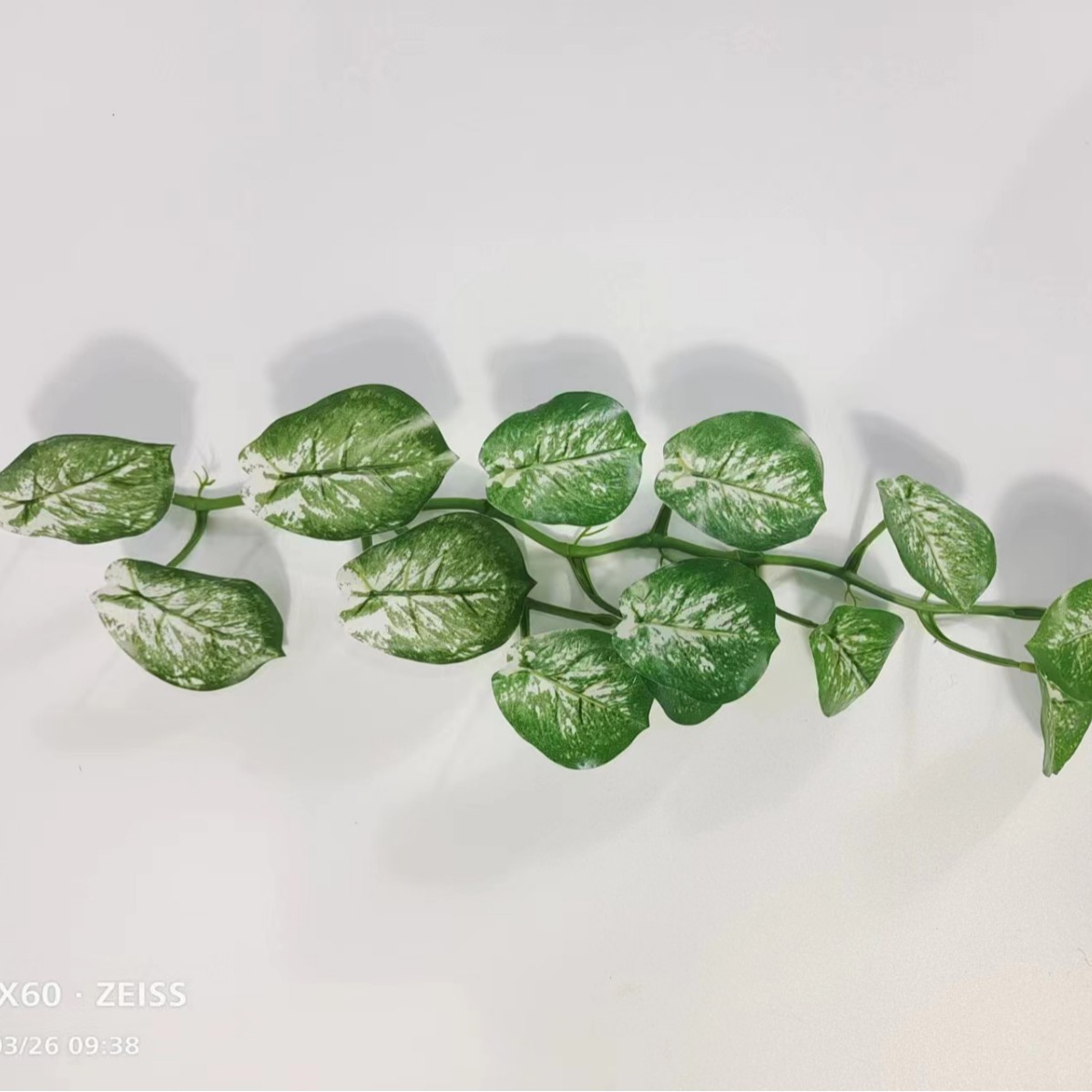 Flor de simulación al por mayor 9 hojas de monstera de simulación verde sobre pegamento Monstera simulación de pared de plantas flor de simulación