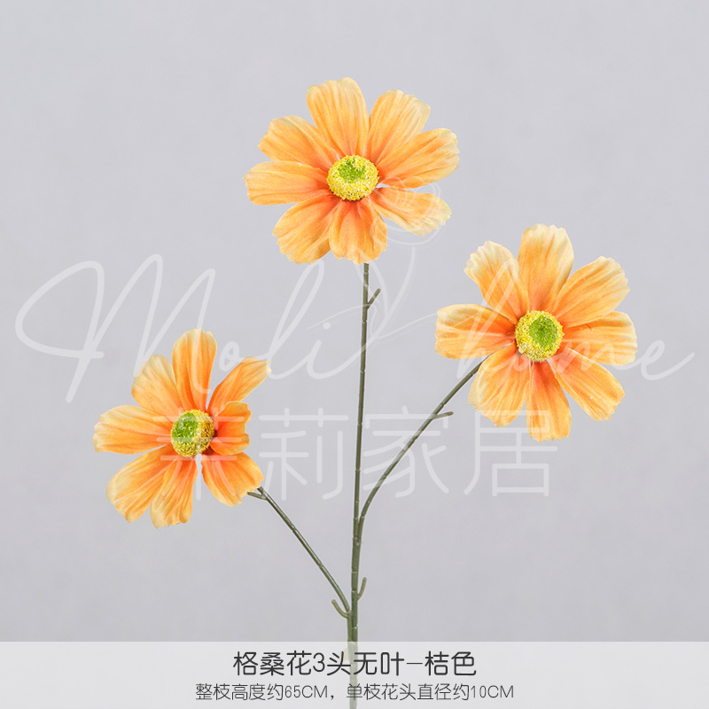 오렌지 6#-잎이 없는 3개의 콜산 꽃