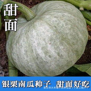 �y�����ϹϷN���½��F���Ƥ�ϹϷN���ļ��߲˹ϷNؐؐ�����Ϲ�