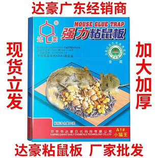 �_������ճ���Ӵ�Ӻ������zС؈�����ù��S����������������l